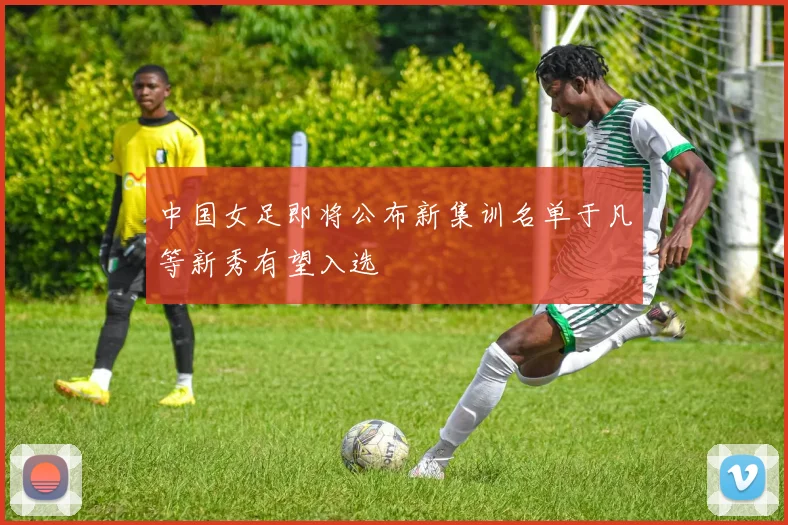 中国女足即将公布新集训名单于凡等新秀有望入选